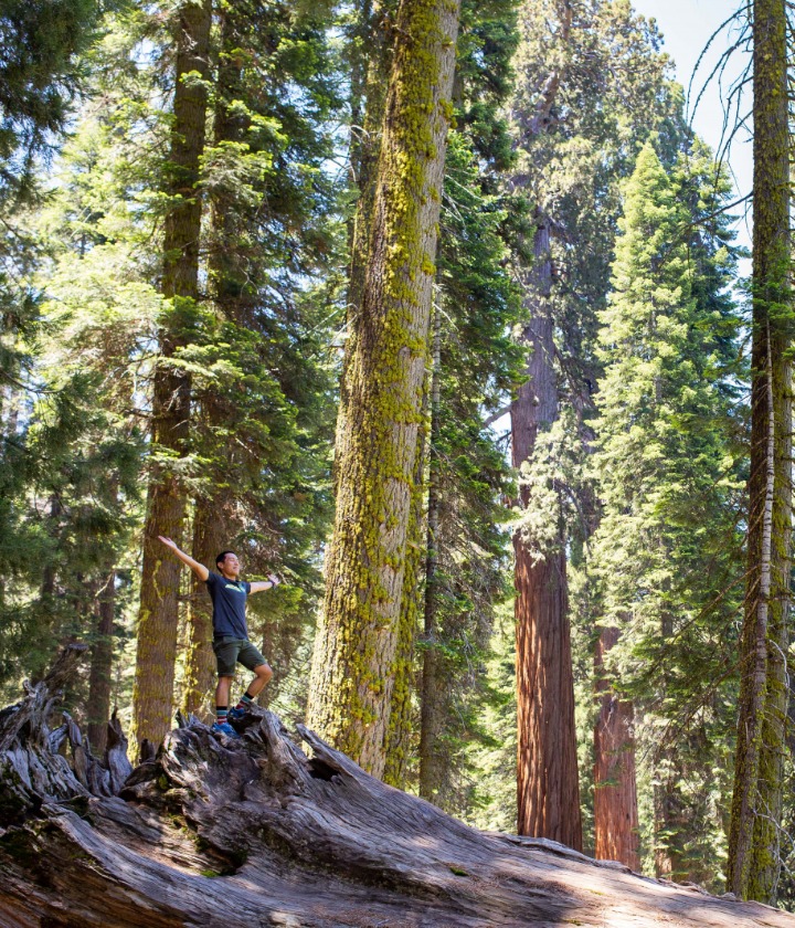 AMF Photo Niccolo Go