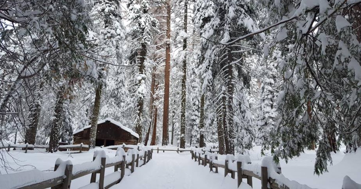 Visit Sequoia & Kings Canyon National Park This Winter - Visit Visalia