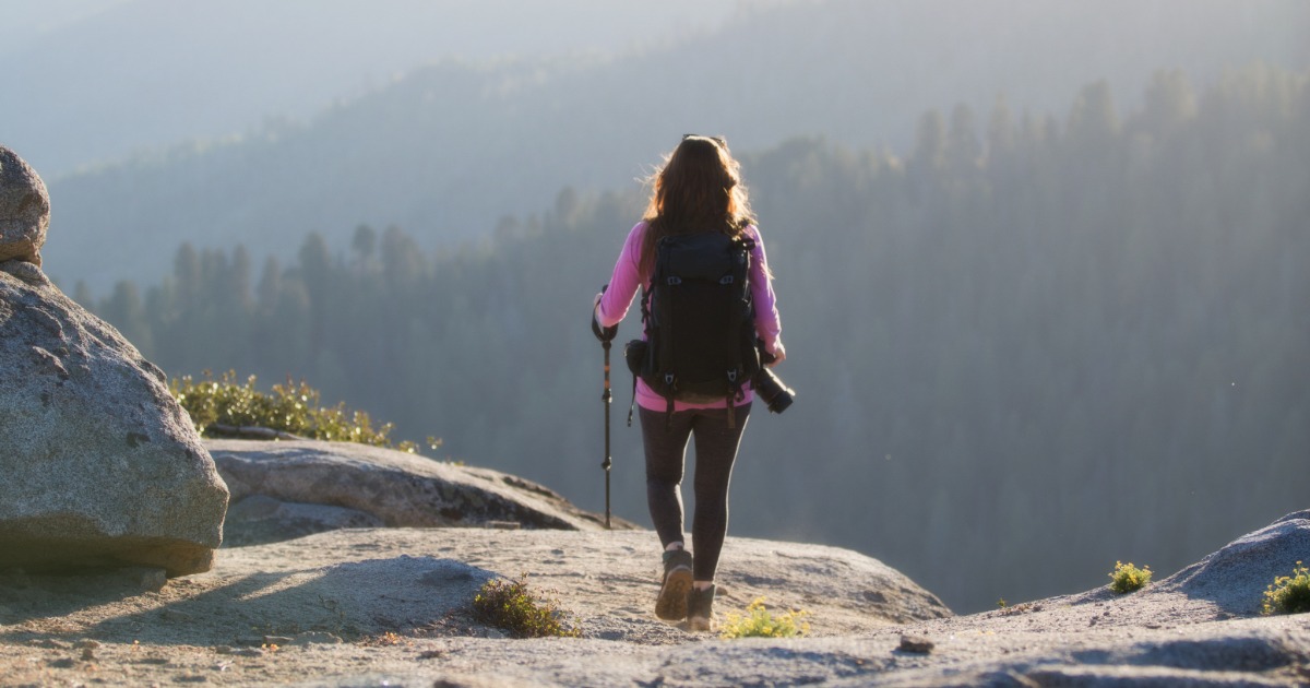 Visit Visalia Welcomes You To Sequoia Kings Canyon National Parks