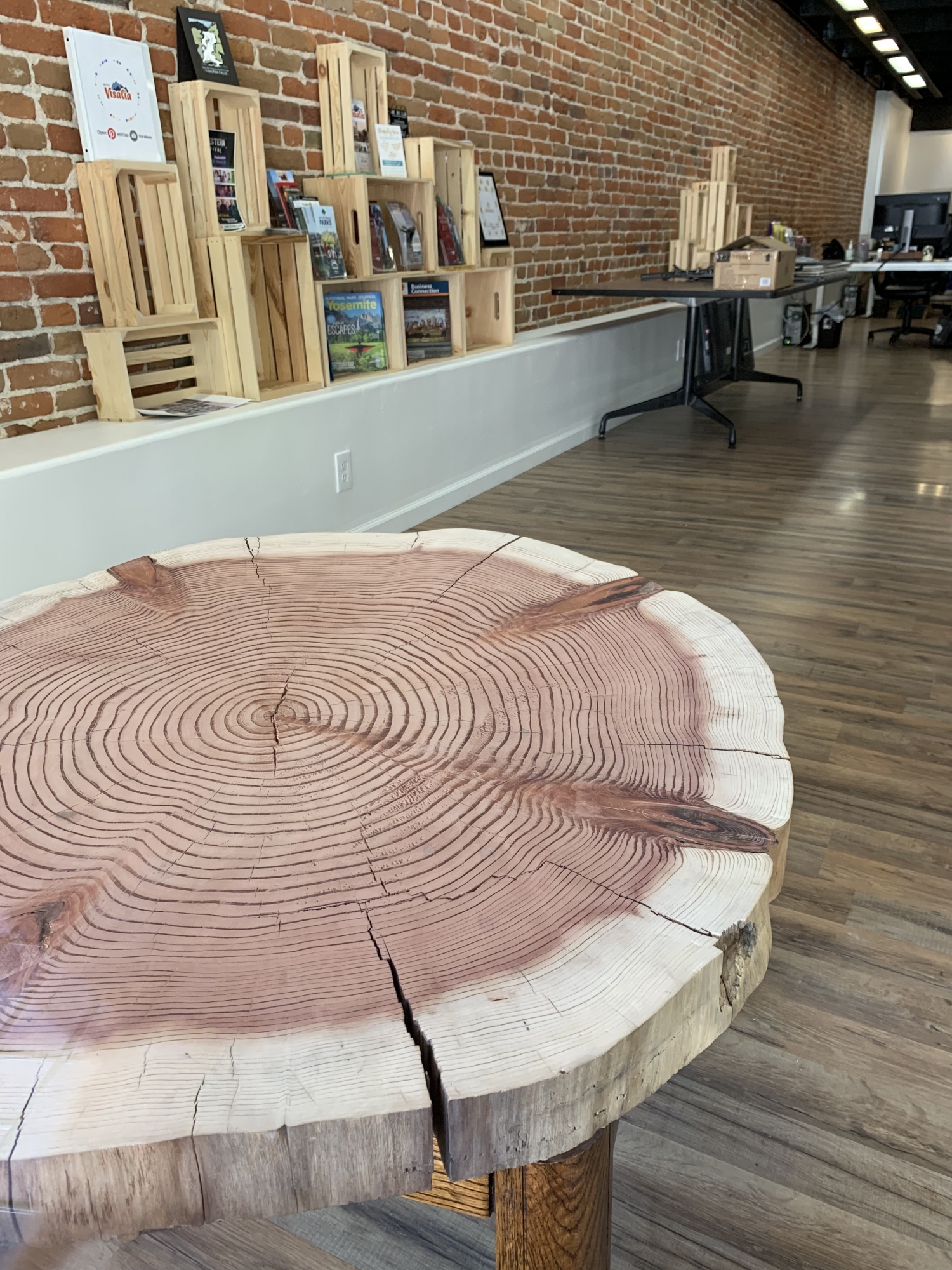 Sequoia Tree sample