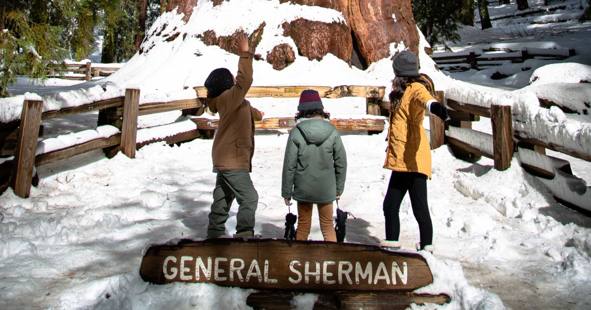 10 things to do this winter in visalia